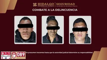 asegurados