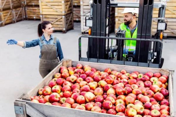 Canasata básica se mantendrá en 910 pesos, Sheinbaum pacta con sector privado