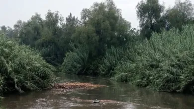 Limpian cause del río Salado en Tlaxcoapan