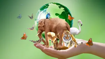 ¡Tu casa no es su hogar! Llaman a frenar el tráfico de fauna silvestre en Hidalgo