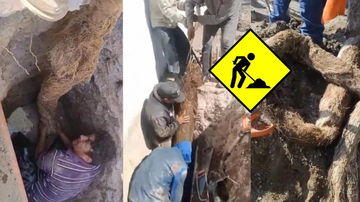 Trabajadores de Sapase extraen raíces que bloquearon el agua potable por 10 años en Ecatepec. FOTO: La Jornada