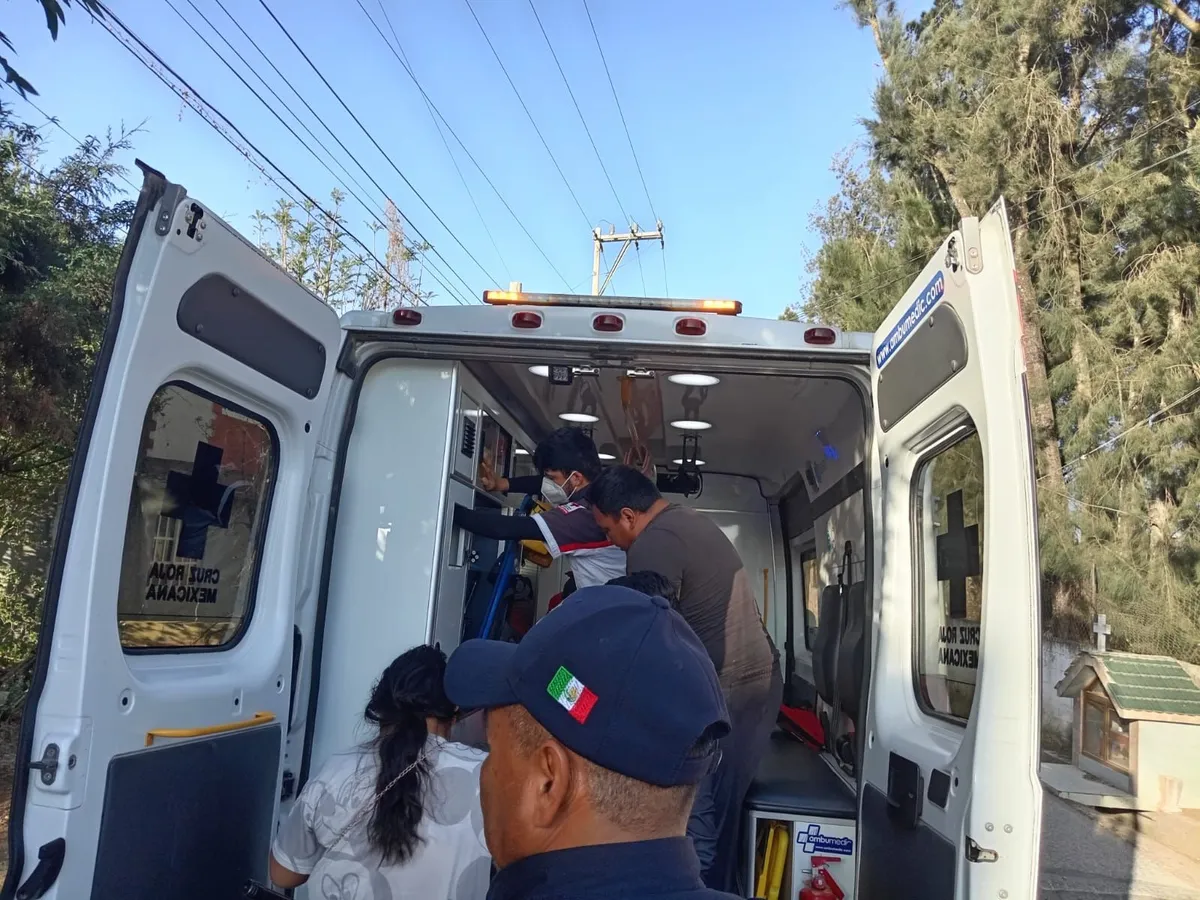 Fallece abuelita tras ataque de abejas en Atotonilco el Grande