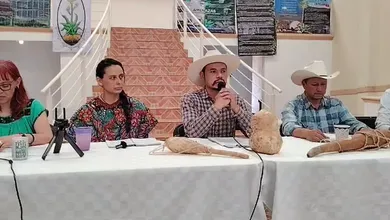 Productores de maguey y pulque