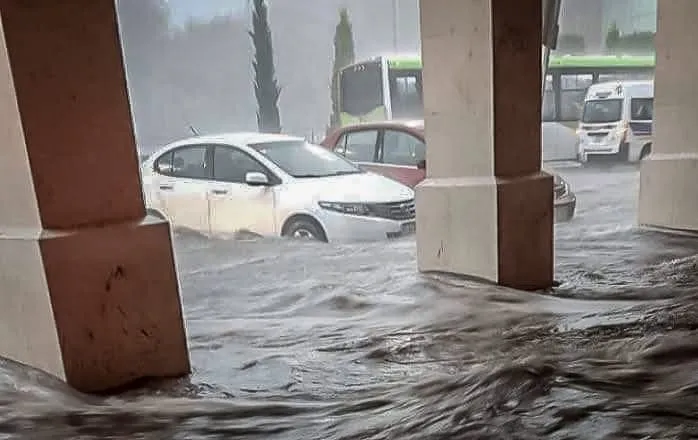 GALERÍA: caída de árboles, bardas y anegamientos, saldo de precipitaciones en Hidalgo