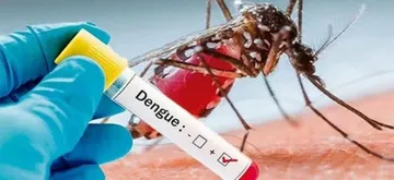 Contagios de dengue en Hidalgo van a la baja