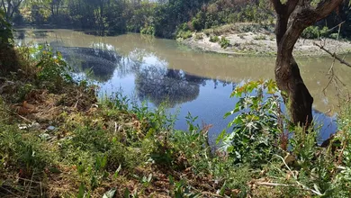 RíoTepeji contaminado por descargas químicas