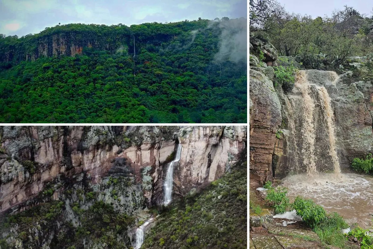 Cascadas en Hidalgo: un resurgir natural tras las lluvias. VIDEOS