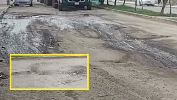 Baches