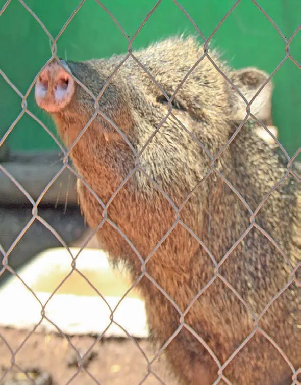 Unidad de Rehabilitación celebra una década