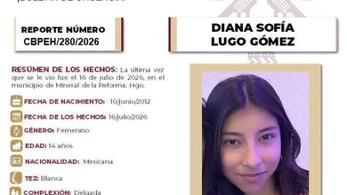 Ficha de Busqueda Diana Sofia Mineral de la Reforma