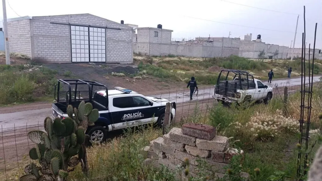 Jauría pone en alerta a vecinos de Sadasi tras ataques en Tizayuca