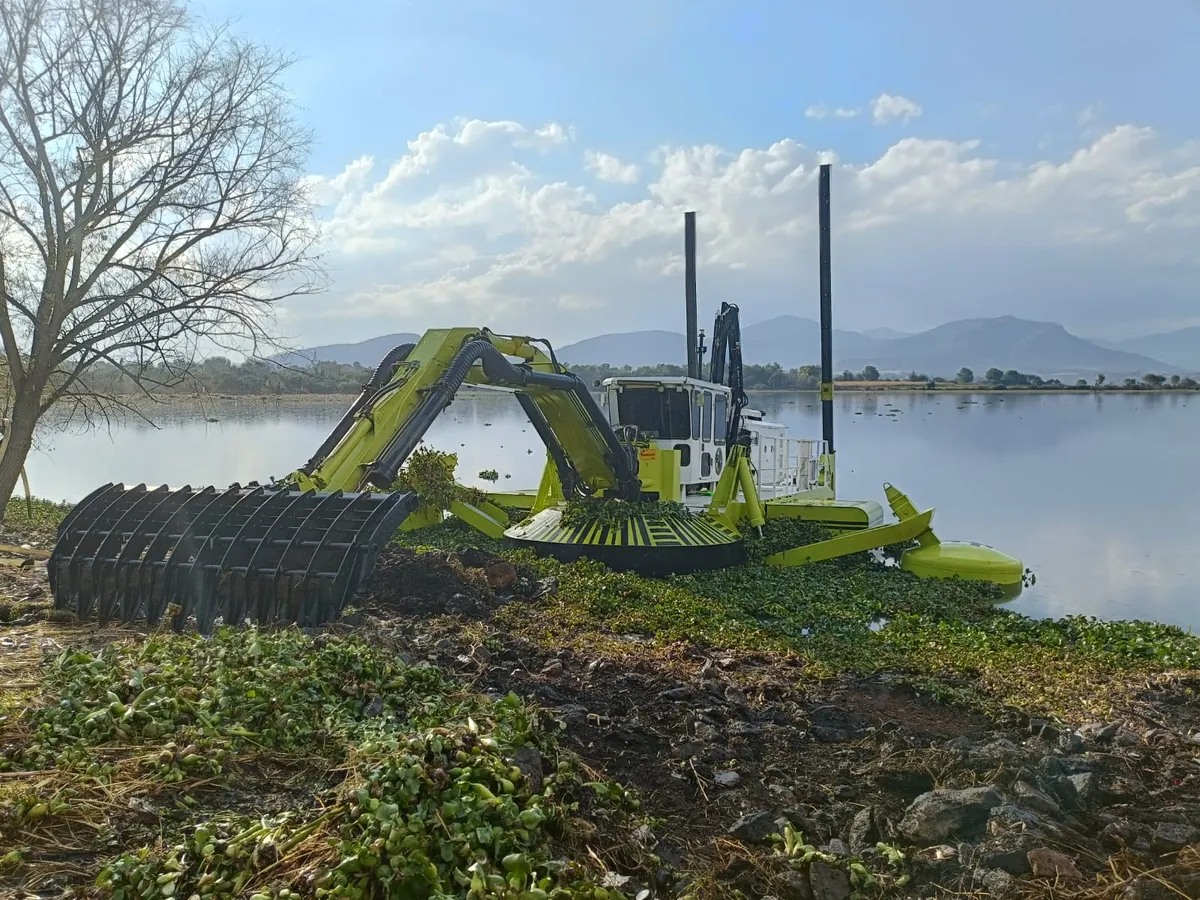 Sacan 7 mil toneladas de lirio de la presa Endhó; no es suficiente 
