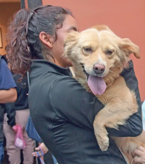 Jornadas de vacunación y esterilización