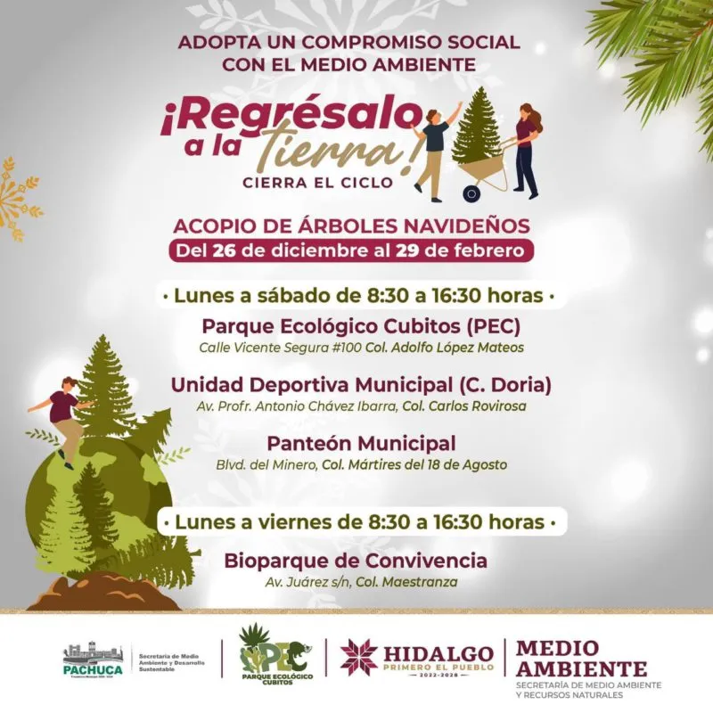 Recicla tu árbol navideño y llévalo a estos lugares de Pachuca