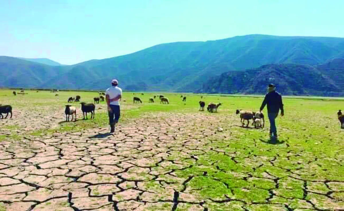 Antes de la llegada de “Alberto “sequía avanzó a 55 municipios en Hidalgo