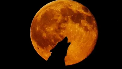 La luna del lobo dará la bienvenida a 2026 con más brillo y un tamaño fuera de lo común. Así podrás observarla.