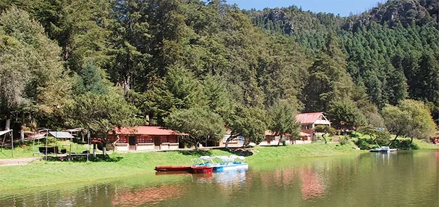 “La Truchiza Hidalgo 2026” espera reunir a más de 150 pescadores en El Cedral