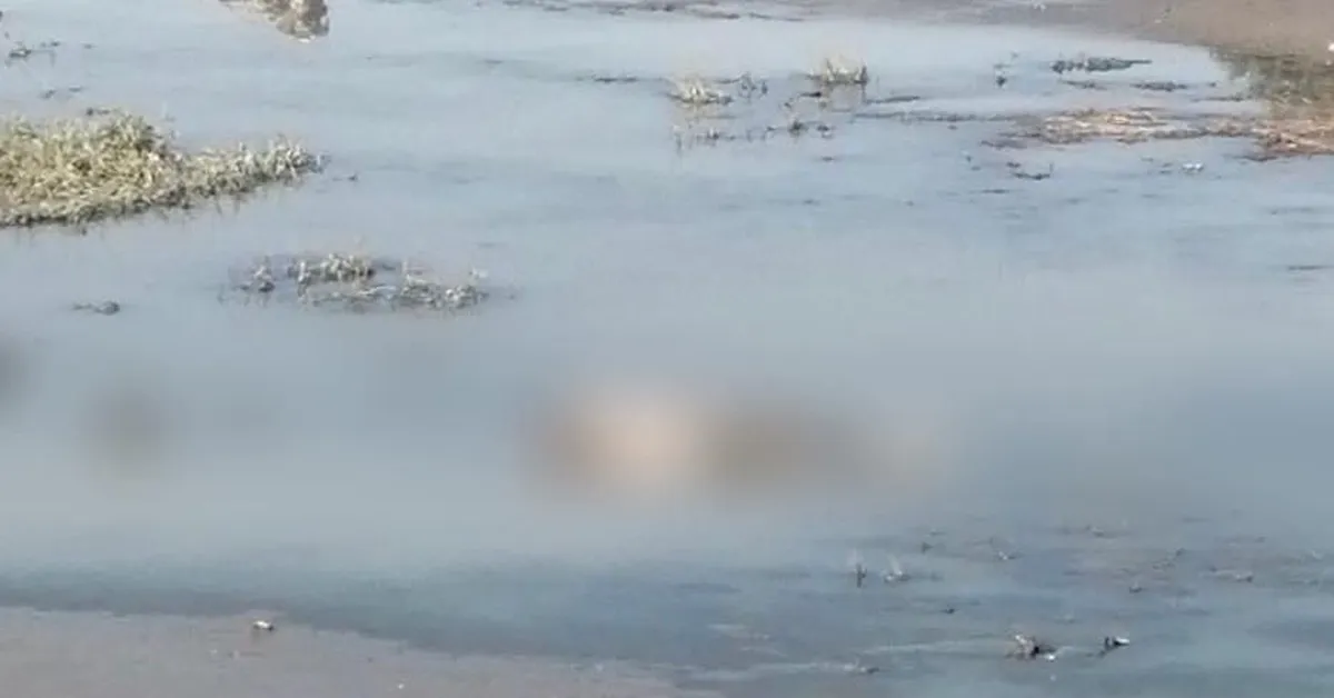 Aparece cadáver en Río de las Avenidas en  Palma Gorda