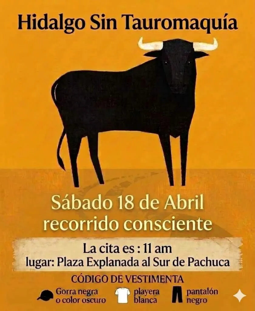 Anuncian marcha en Pachuca contra la tauromaquia: ve fecha, horario y recorrido