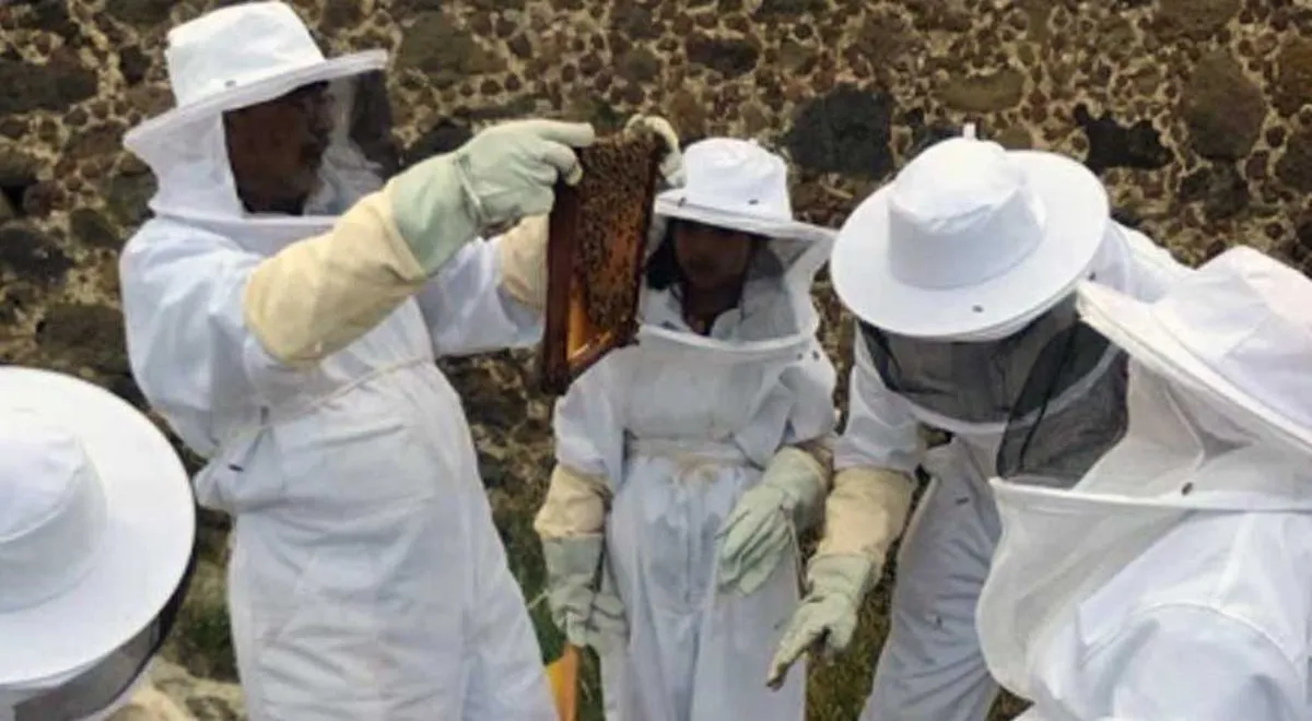Crean conciencia sobre la importancia de las abejas en el desarrollo sostenible