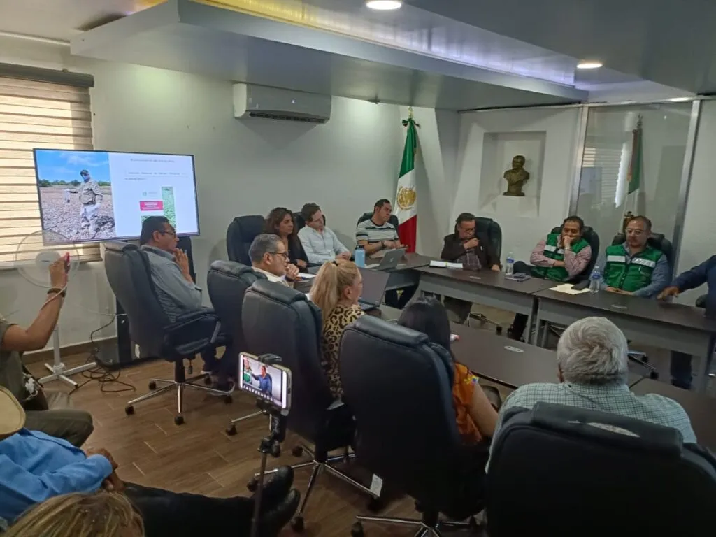 Presa Endhó: Semarnat prevé superar fase crítica por lirio acuático en diciembre