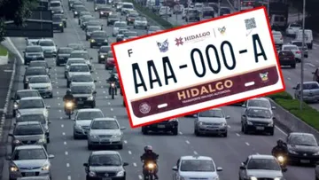 Proponen evitar uso porta placas en Hidalgo