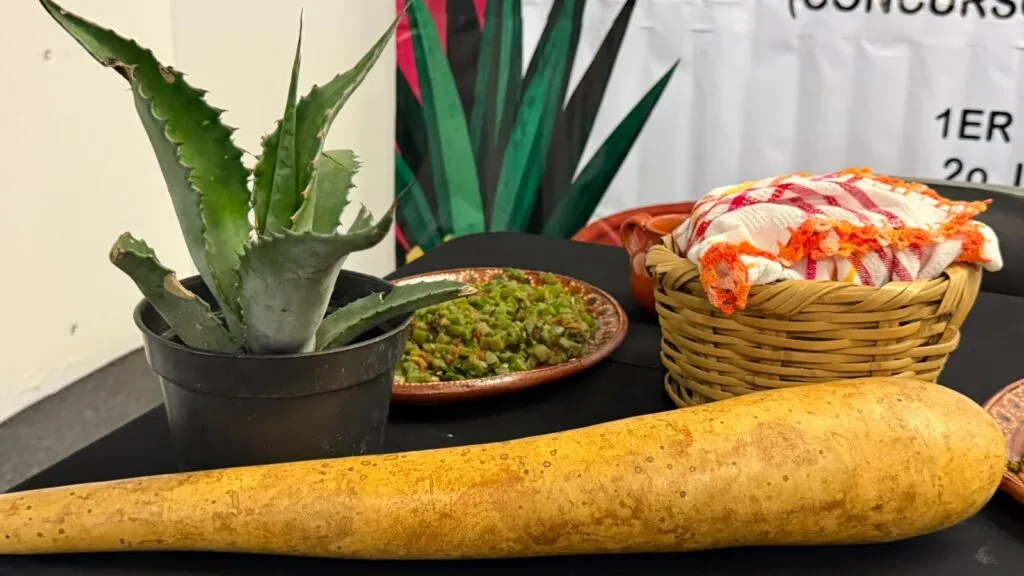 Santa Ana Batha alista su primera Muestra Gastronómica del Maíz y el Pulque