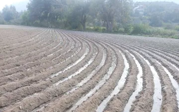 Es mejor que hiele a que granice: horticultores de Ixmiquilpan