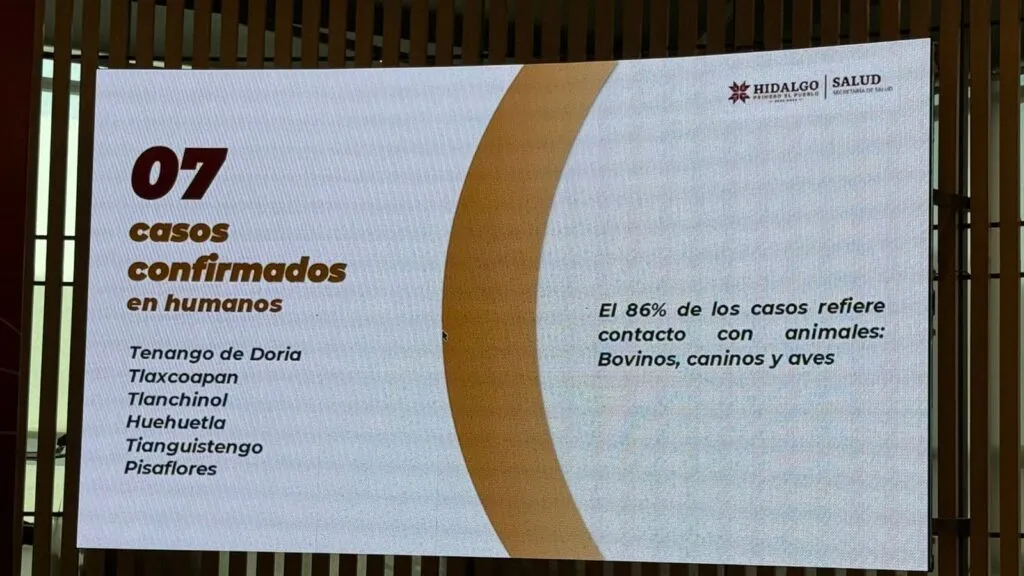Confirman 7 casos de gusano barrenador en humanos en Hidalgo; lanza alerta sanitaria