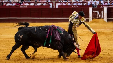 tauromaquia