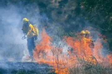Incendios forestales en Hidalgo