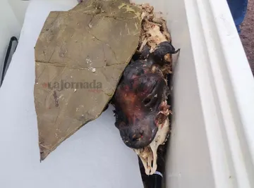 Tizayuca: puesto de barbacoa vende carne de perro