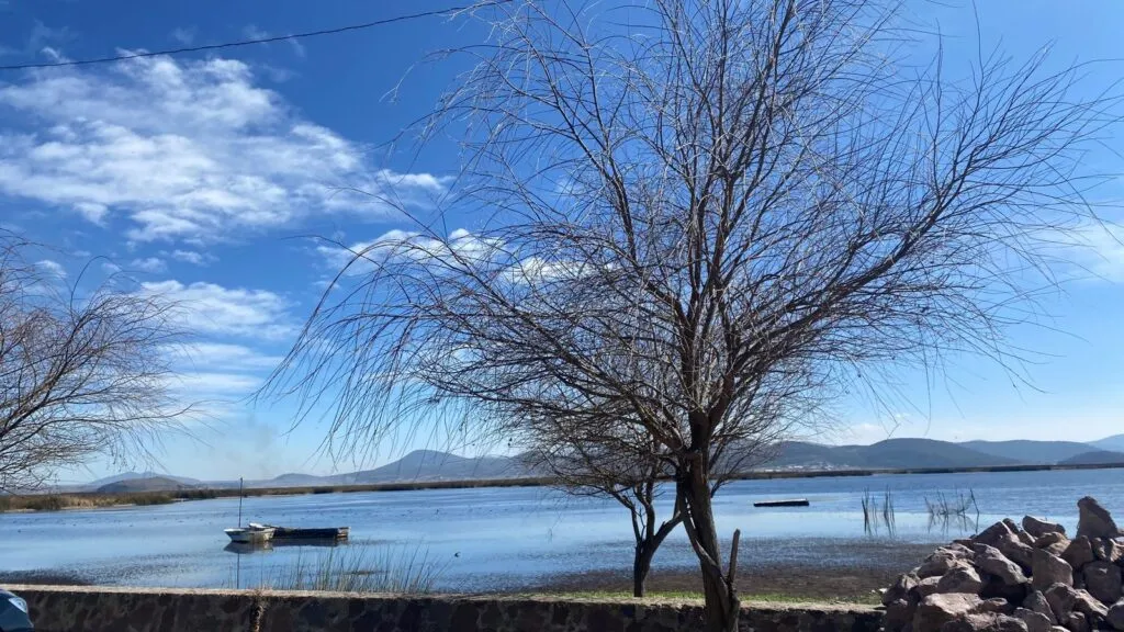 Festival en Apan por Día Nacional del Maíz