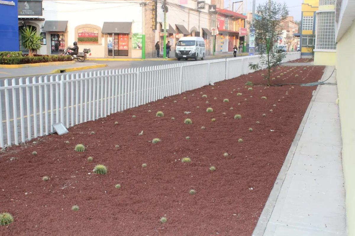 En lugar de árboles, gobierno de Tulancingo colocó tezontle en jardineras de secundaria