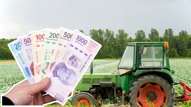 Productores agrícolas realizan labores en el campo durante la convocatoria de apoyos 2026 en Hidalgo.