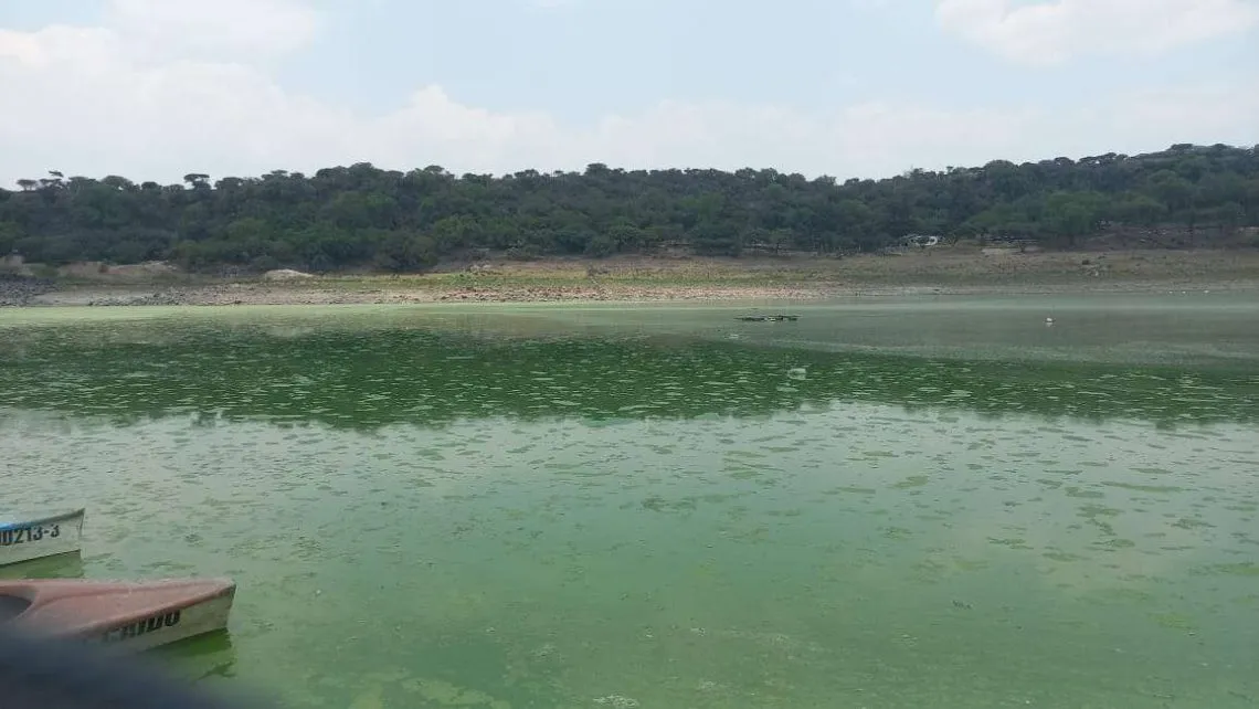 Hidalgo cerrará el 2025 con presas al límite; almacenamiento global alcanza el 98.3%