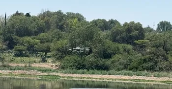 El combate al mosco en la presa Endhó seguirá con fumigaciones, extracción de lirio y acciones ambientales avaladas por expertos internacionales.