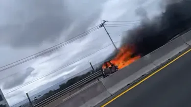 Movilización de seguridad tras incendio de vehículo cerca del AIFA; investigan posibles causas.