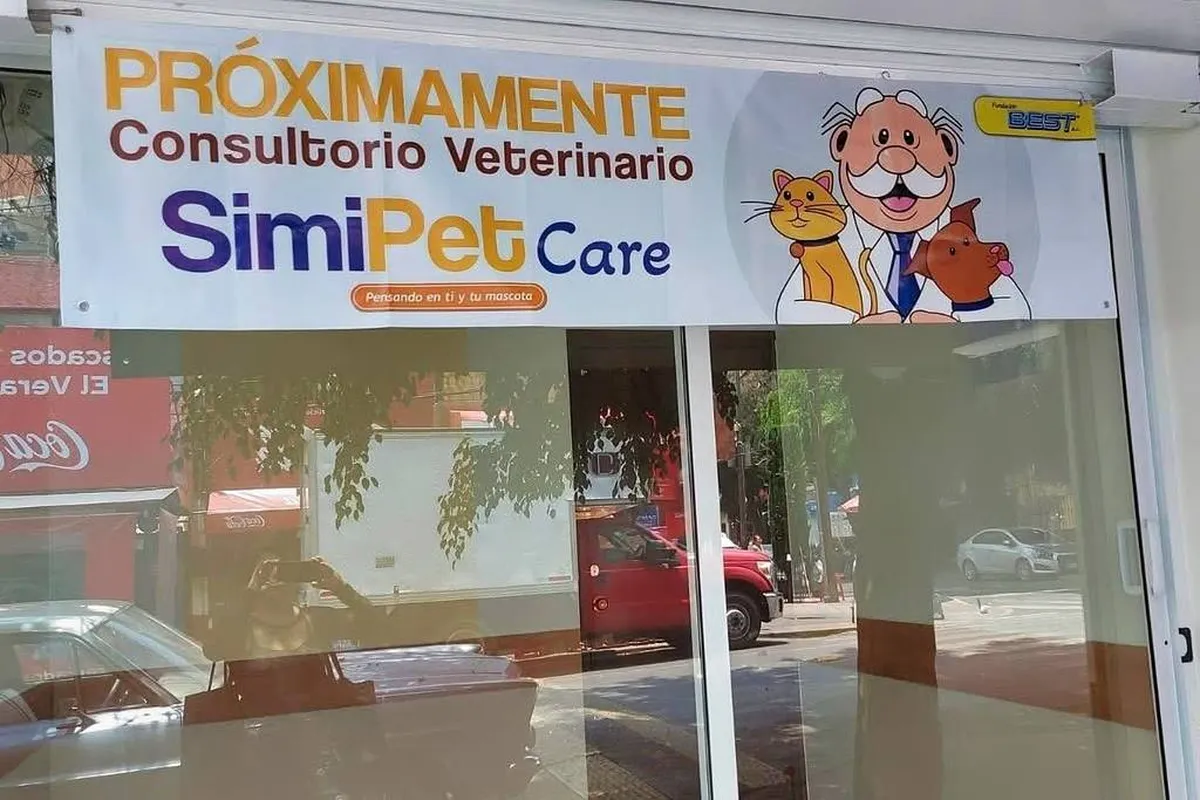 Pachuca se suma al modelo Simi Pet con consultas económicas y servicios básicos para perros y gatos.
