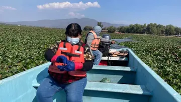 Vista de la presa Endhó, en Hidalgo, relacionada con reportes sobre contaminación, cáncer y enfermedades en comunidades cercanas.
