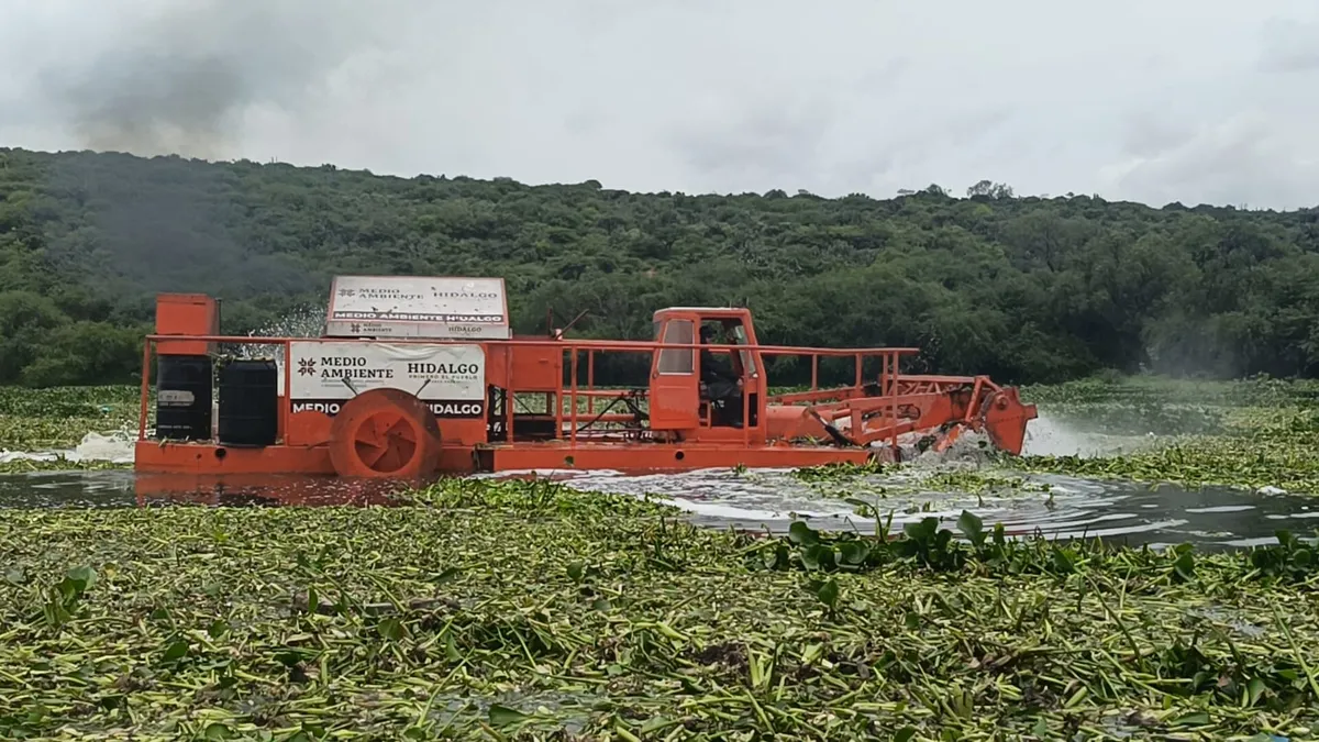 Tula: así combaten las maquinas trituradoras el lirio acuático en la presa Endhó | VIDEO
