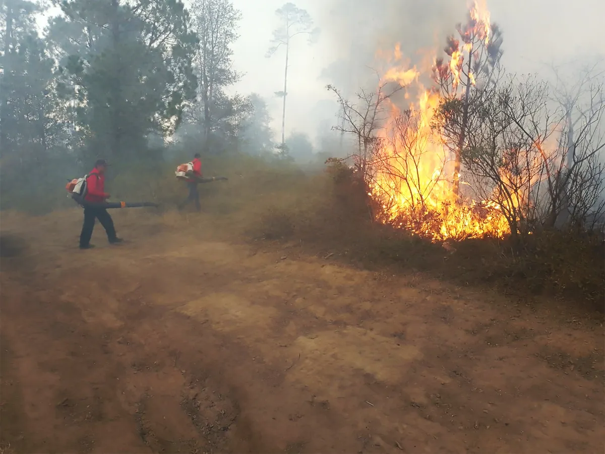 Tenango de Doria: se reúnen de emergencia para reforzar lucha contra incendio en El Potrero