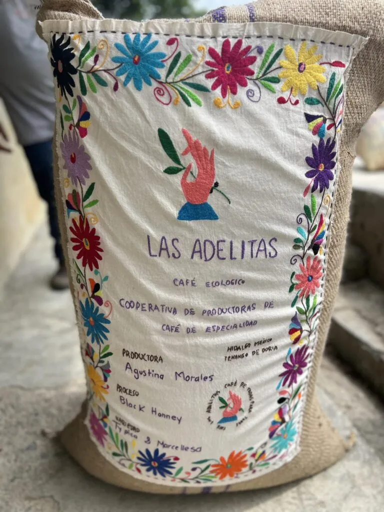 “En Tenango se borda y se toma café”: mujeres transforman tradición en resistencia económica