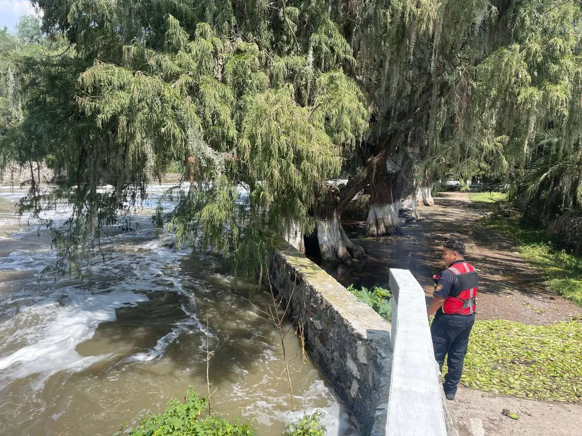 Lluvias en Hidalgo provocan daños en cultivos, pero no afectarán la producción