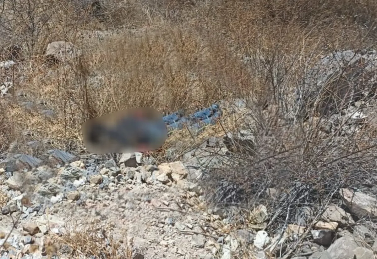 Encuentran a persona sin vida en Zimapán