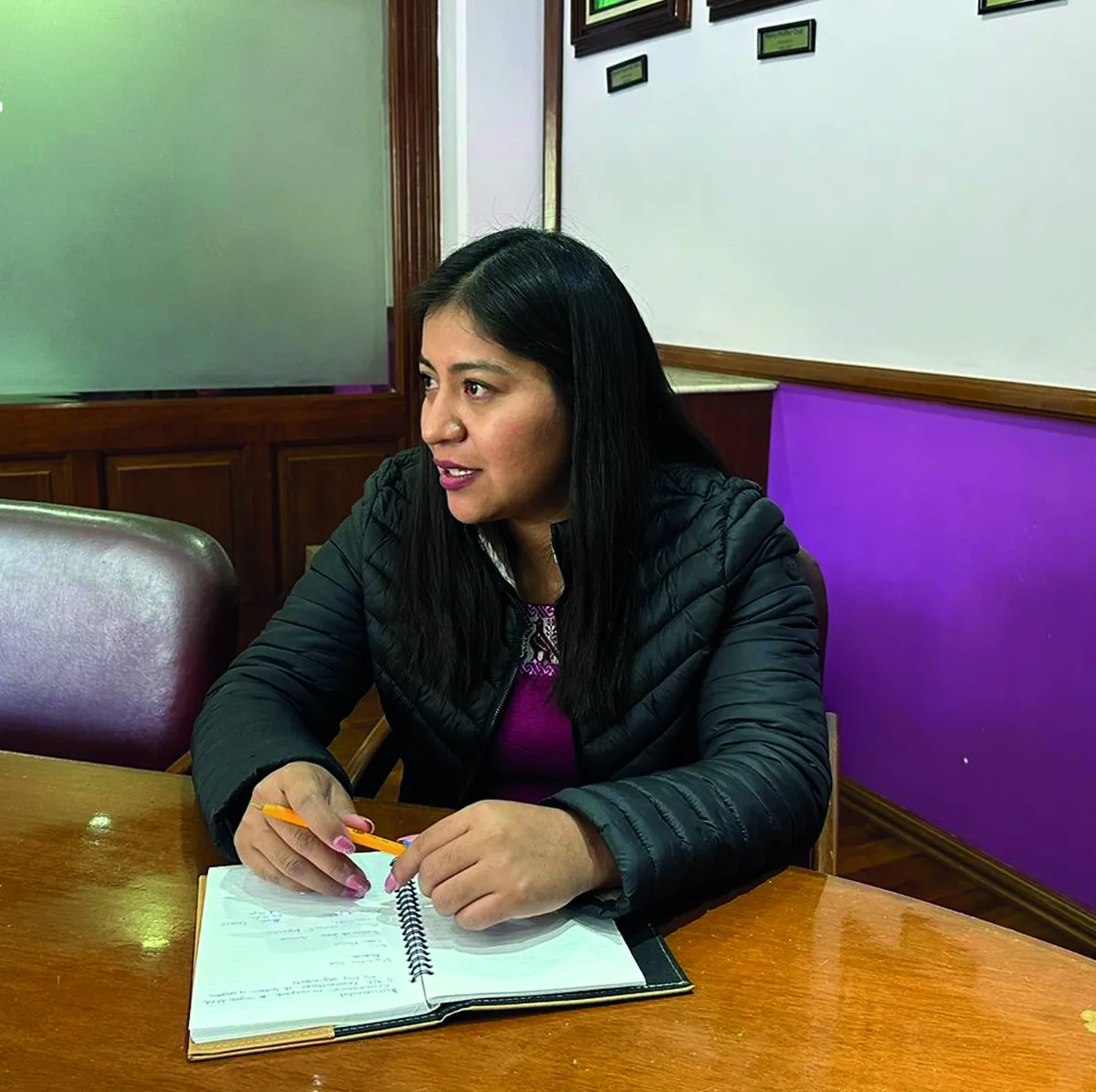 Diputada rechaza haber dejado endeudado al CAAST