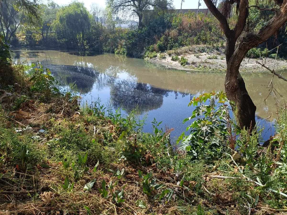 RíoTepeji contaminado por descargas químicas