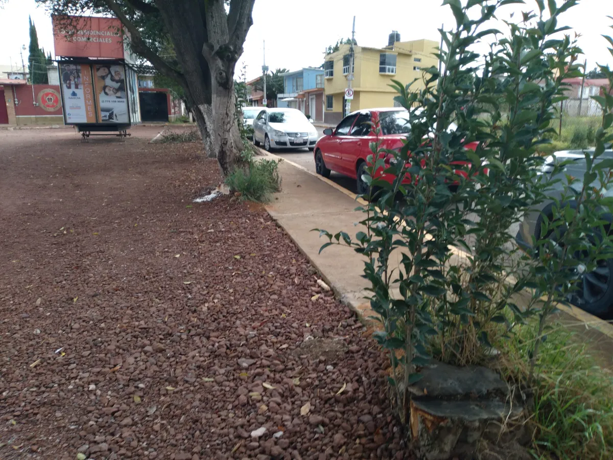 Vecinos denuncian construcción sobre canal de riego del manantial Los Cangrejos