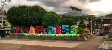 pisaflores