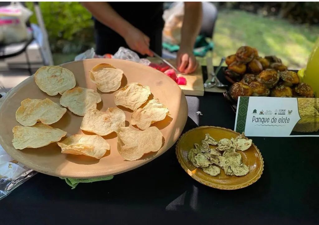 Hidalgo en Los Pinos reunirá a más de 600 participantes